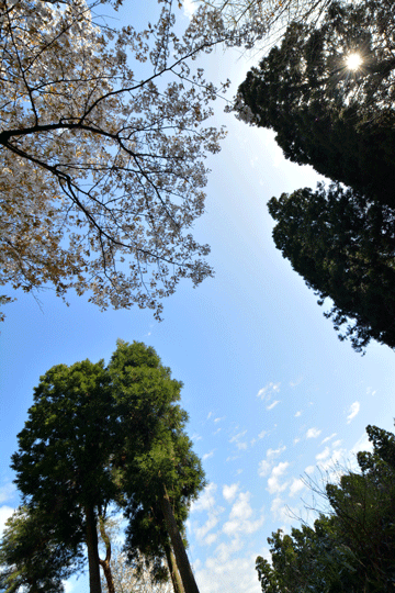 c0093046_9235835.gif
