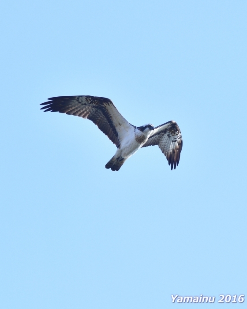 f0194048_09503663.jpg