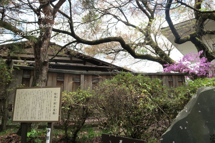 雨の高遠 2    絵島囲み屋敷と城址公園 - すずめｔｏめばるｔｏナマケモノ