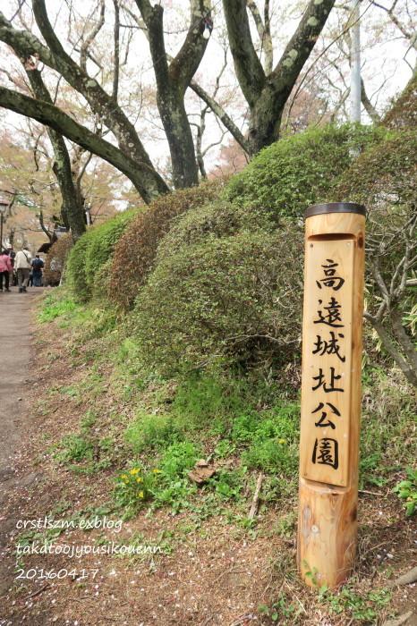 雨の高遠 2    絵島囲み屋敷と城址公園_e0348754_11560470.jpg