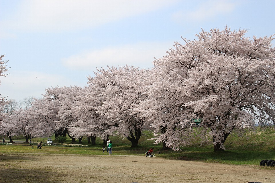 お花見へ_c0335355_16114028.jpg