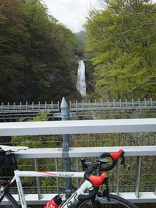 a0096557_15112363.jpg