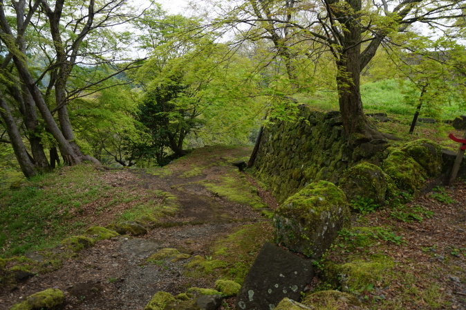 わん旅行 小国から阿蘇へ　②_a0201257_12141552.jpg