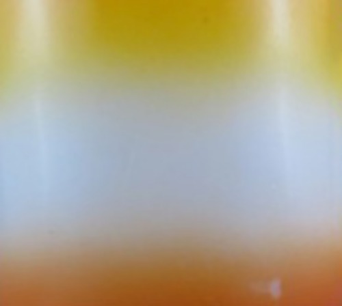 b0125570_10162255.jpg