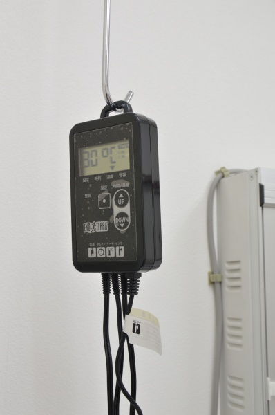 アクリルケースによる30℃保温_c0049870_17414127.jpg