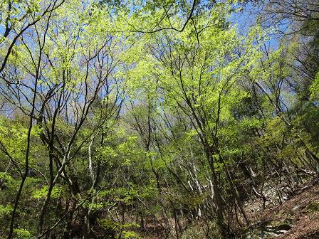 小城頭～鍵懸山　　静かに春満喫_f0302771_10583176.jpg