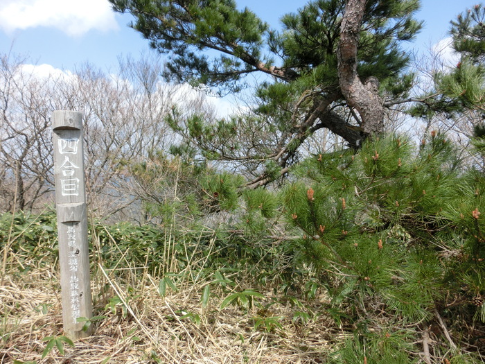 b0185573_18121025.jpg