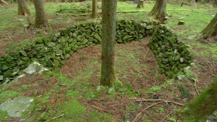 c0212083_19533541.jpg