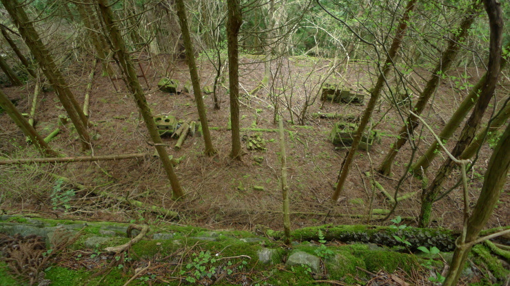 c0212083_19575889.jpg