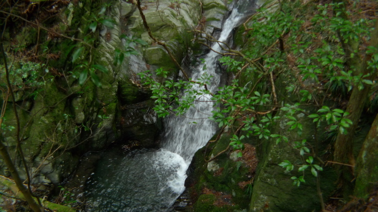 c0212083_19585950.jpg