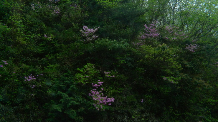c0212083_20011174.jpg
