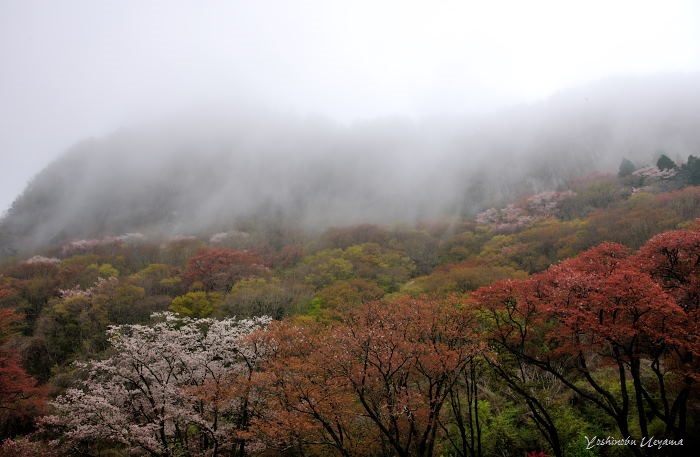 屏風岩と室生寺_e0092186_9312110.jpg