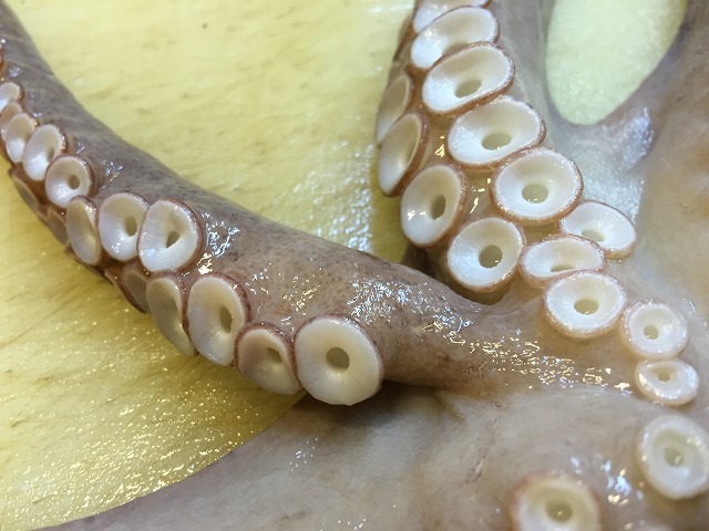 9本の!_d0268290_1435164.jpg