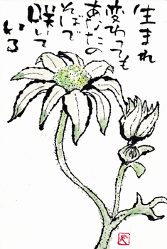 a0030594_9341984.gif