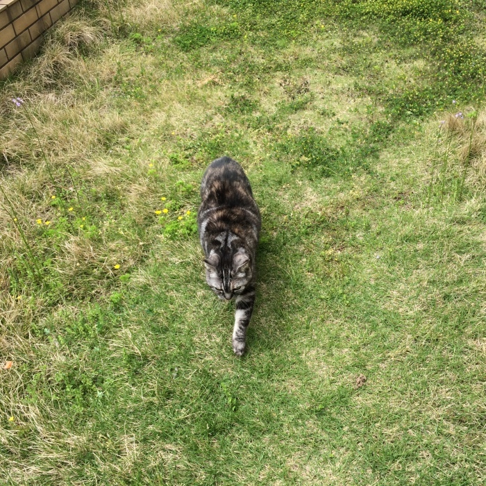 c0247096_14192561.jpeg