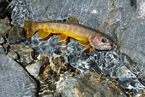 c0339900_21202138.jpg