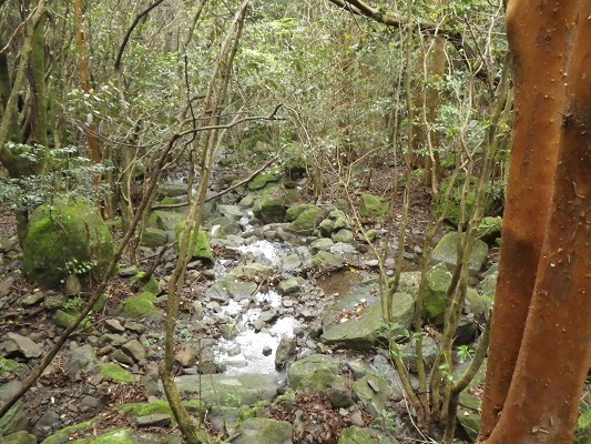 f0187402_1912170.jpg