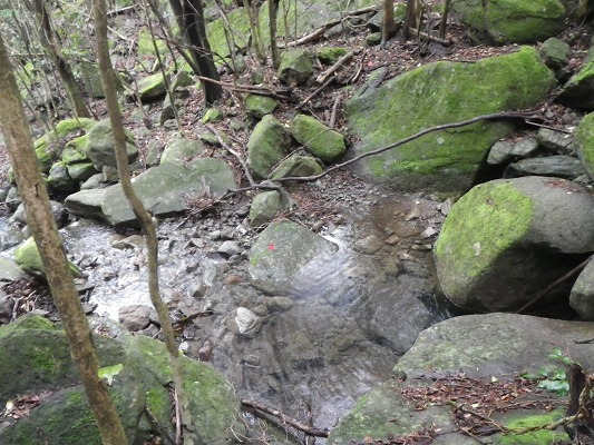 f0187402_191347.jpg