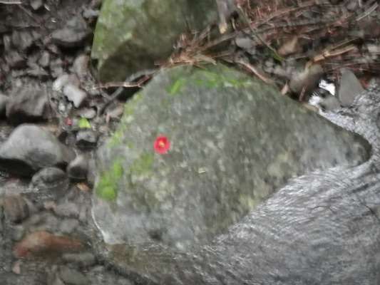 f0187402_1914986.jpg