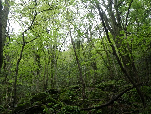 f0187402_1925310.jpg