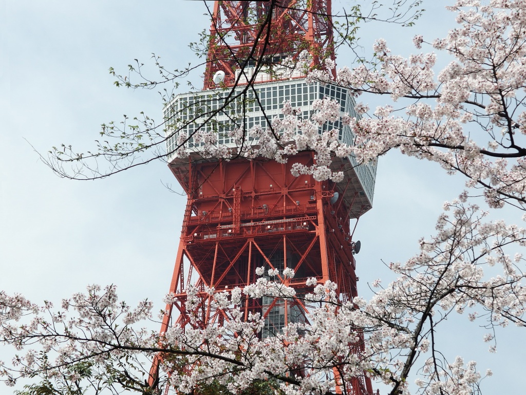 e0039703_19675.jpg