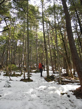 編笠山 (2月27日)_d0032405_21171243.jpg