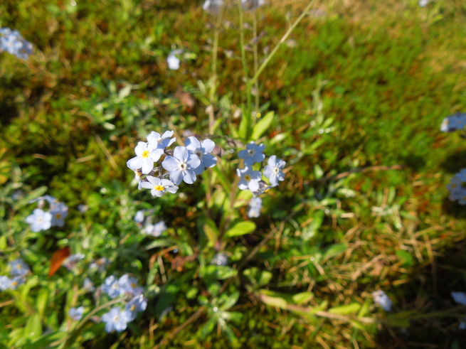 f0297809_0464169.jpg