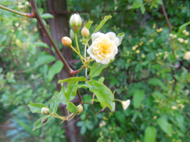 f0297809_0491717.jpg