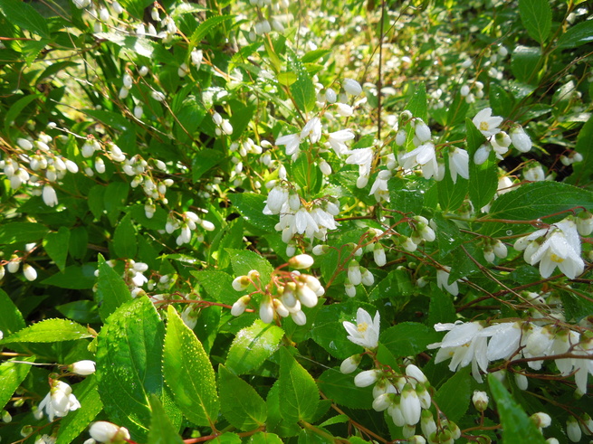 f0297809_0495820.jpg