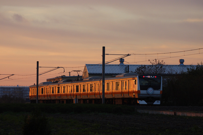 b0353411_21061844.jpg