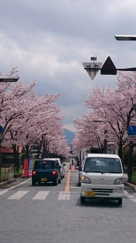 f0260414_00285991.jpg