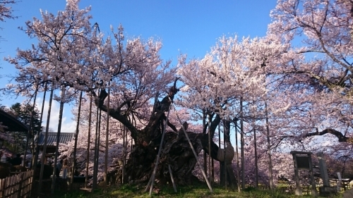 f0260414_00290220.jpg