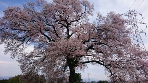 f0260414_00290680.jpg