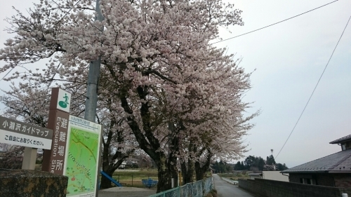 f0260414_00290979.jpg