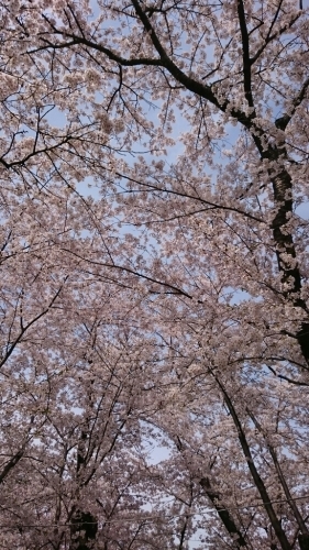 f0260414_00291266.jpg