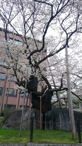 f0260414_00291589.jpg