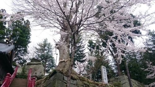 f0260414_00291892.jpg