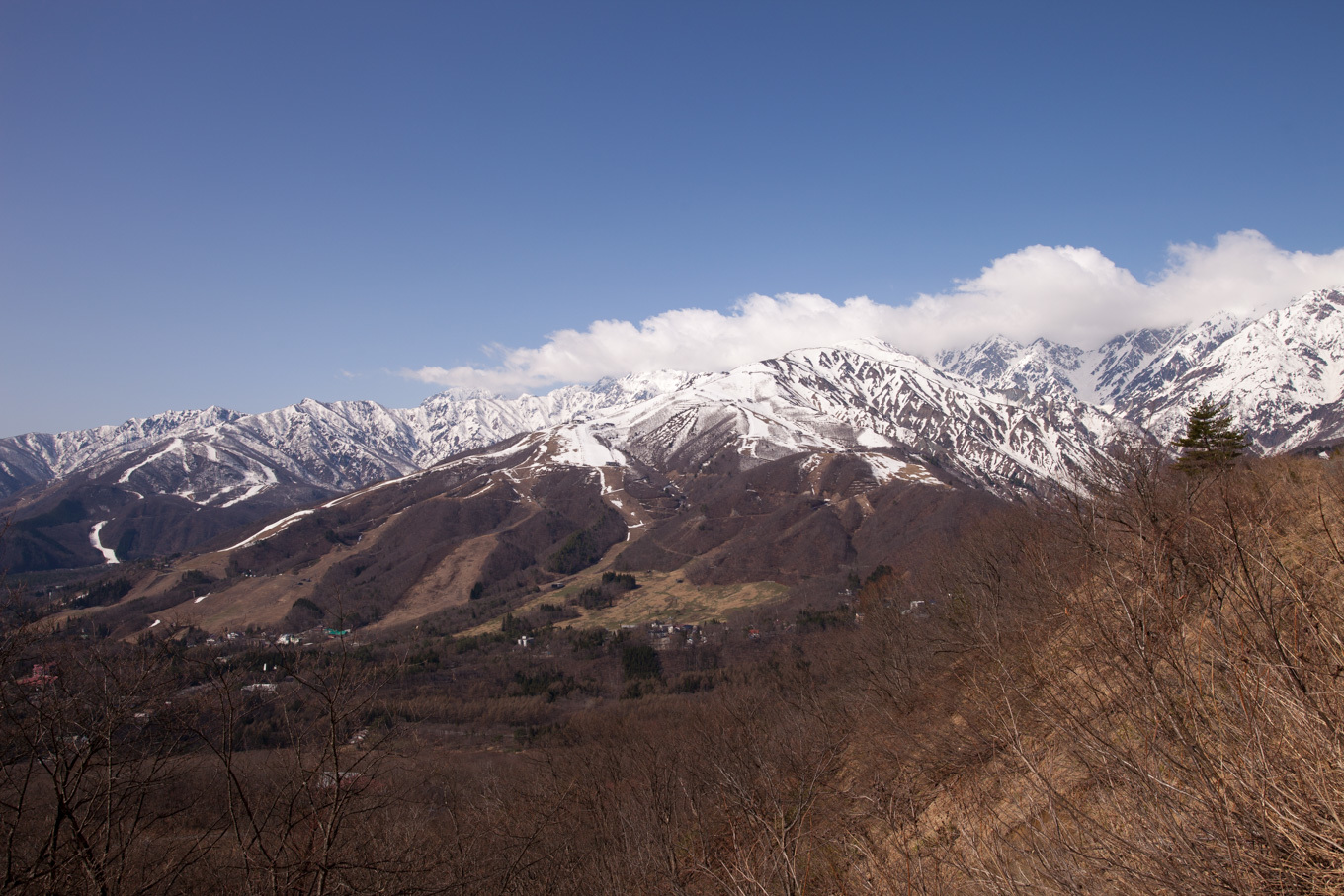c0369219_15155844.jpg