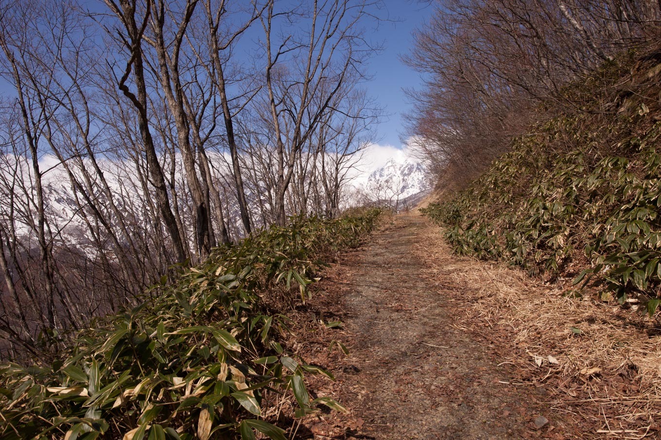 c0369219_15242195.jpg