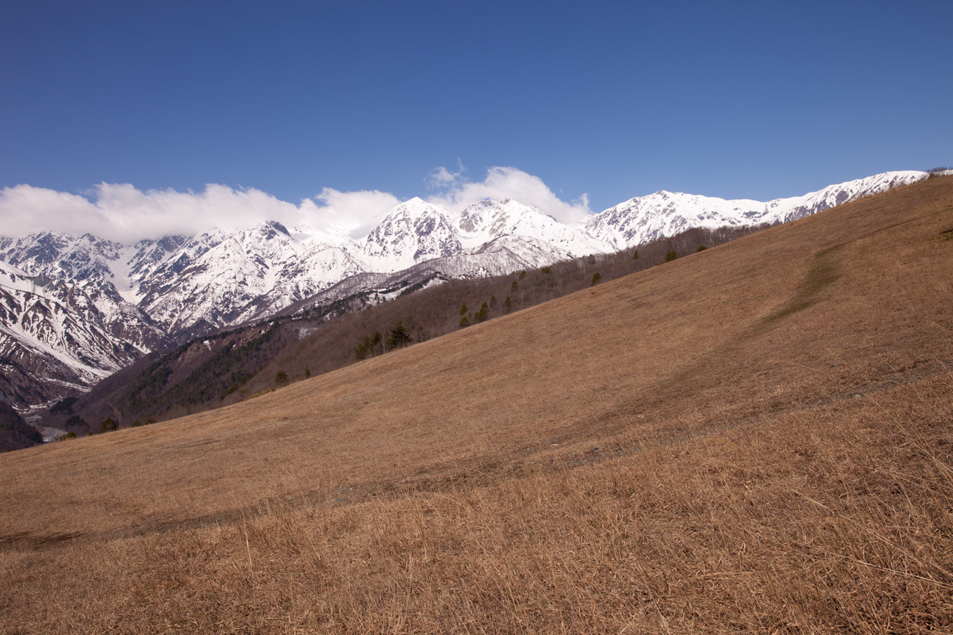 c0369219_15442617.jpg