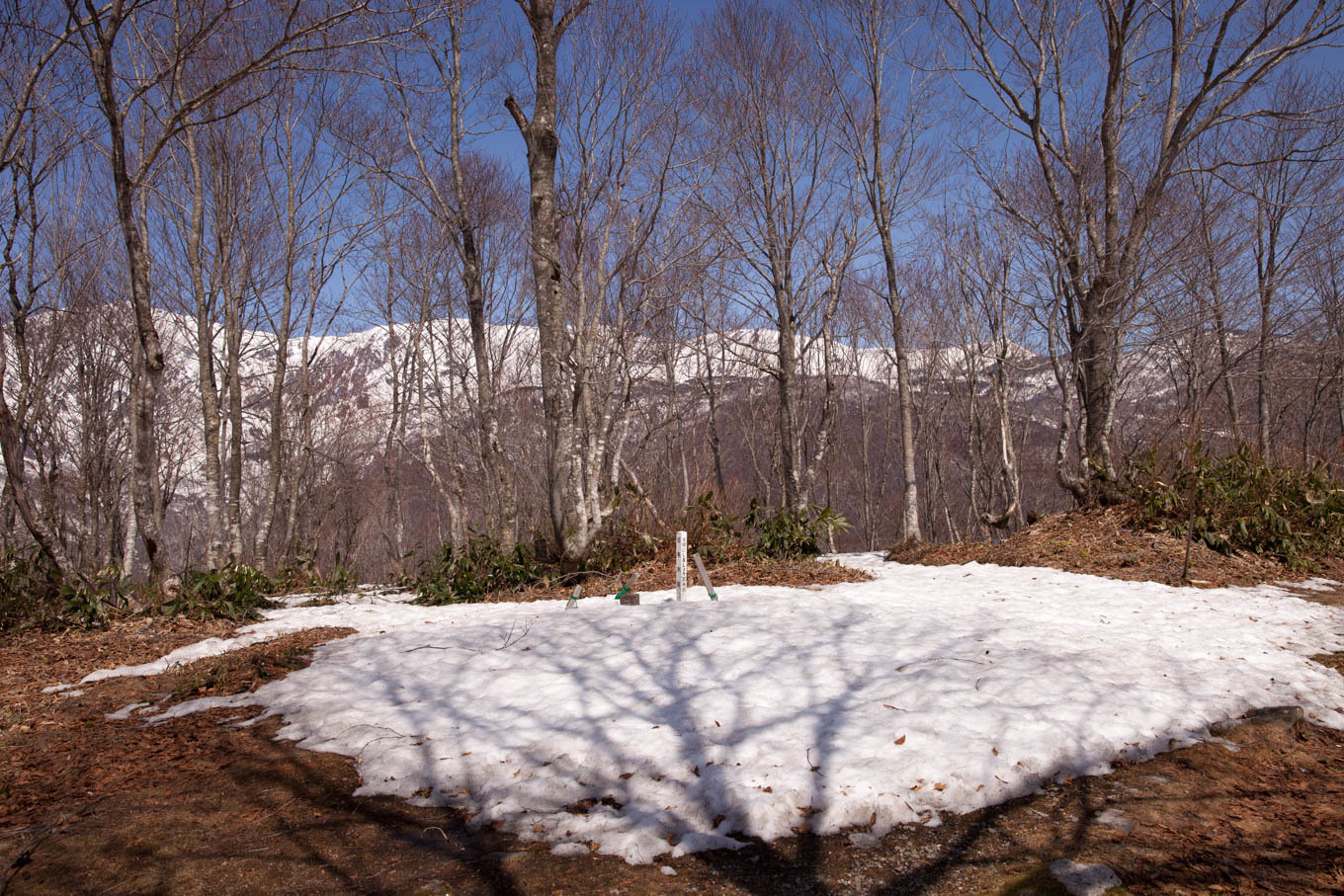 c0369219_16301075.jpg