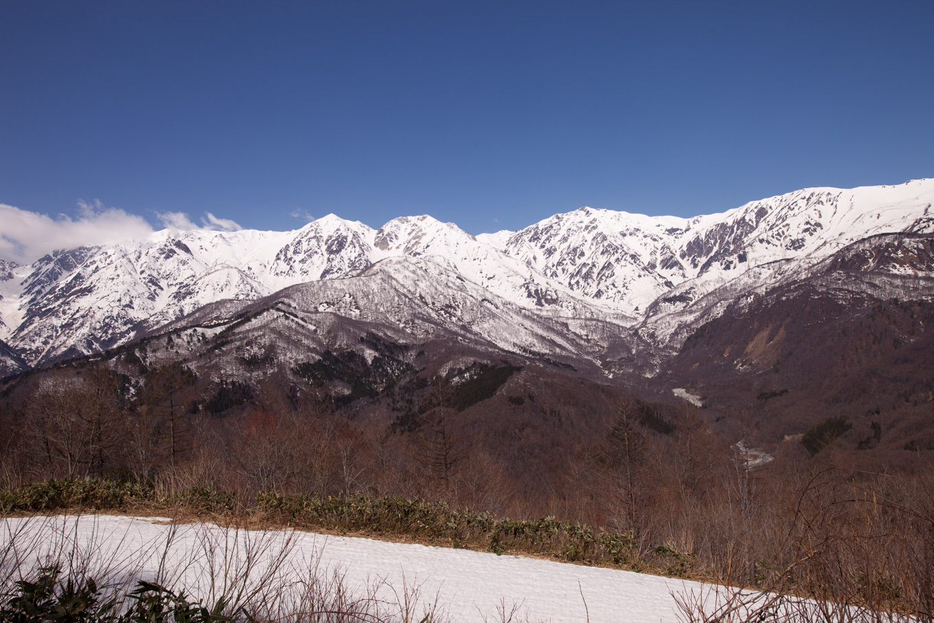 c0369219_16343679.jpg
