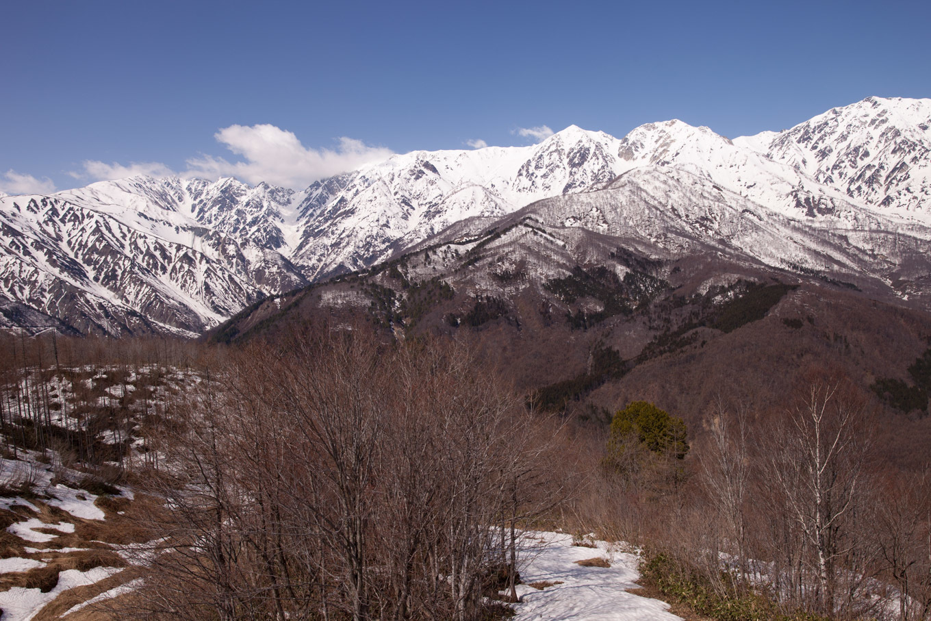 c0369219_16415406.jpg