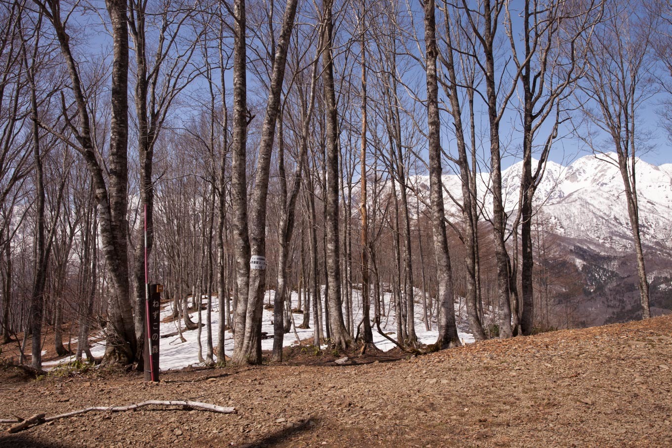 c0369219_16540645.jpg