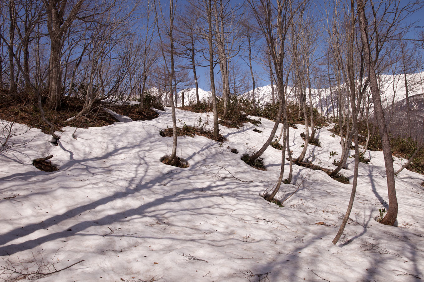 c0369219_17183396.jpg