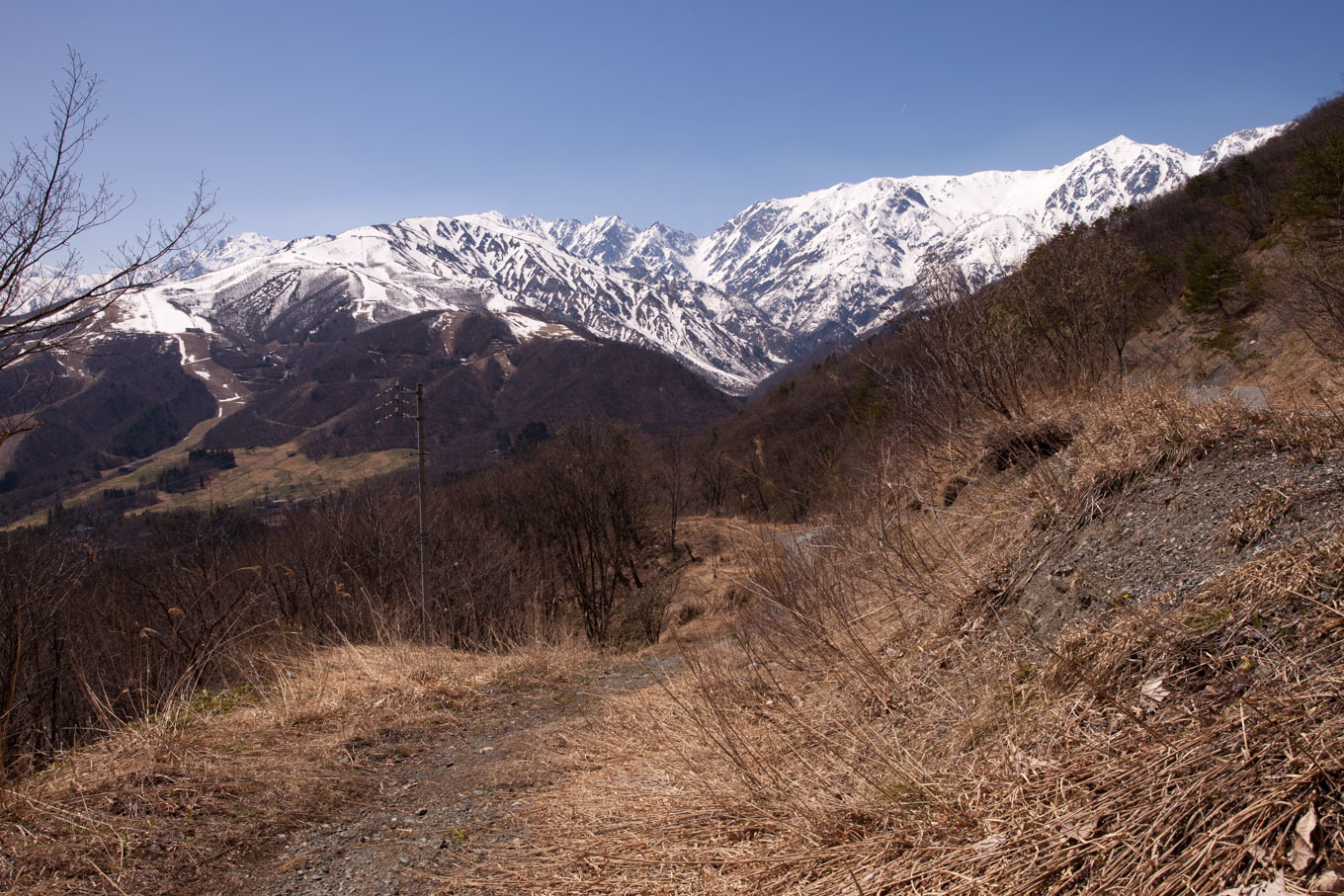 c0369219_18373933.jpg