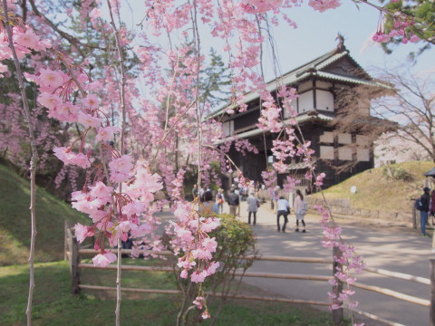 b0147224_2324491.jpg