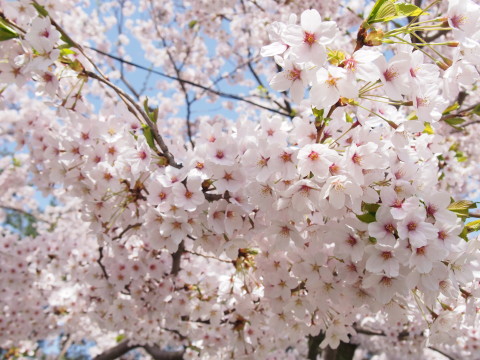 b0147224_2325374.jpg
