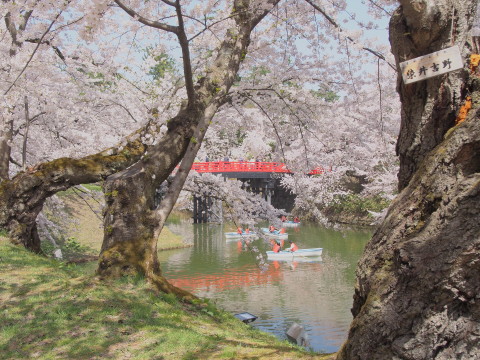 b0147224_2327837.jpg
