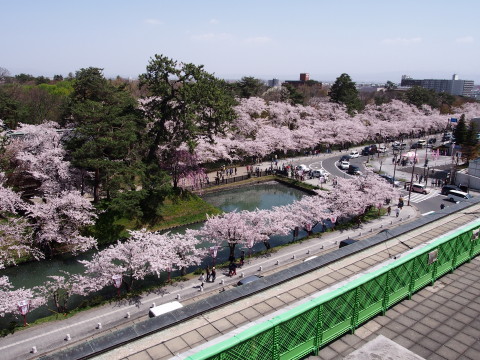 b0147224_23312830.jpg